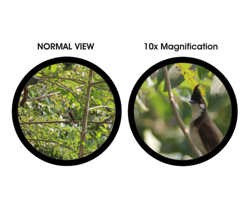 Nakul 10x50 porro prism - Magnification