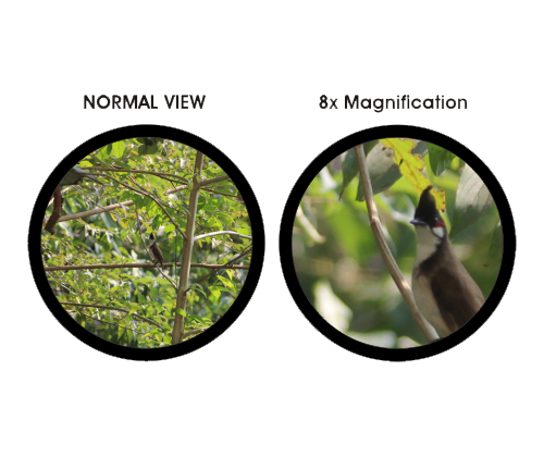 Nakul 8 x 40 porro prism - Magnification